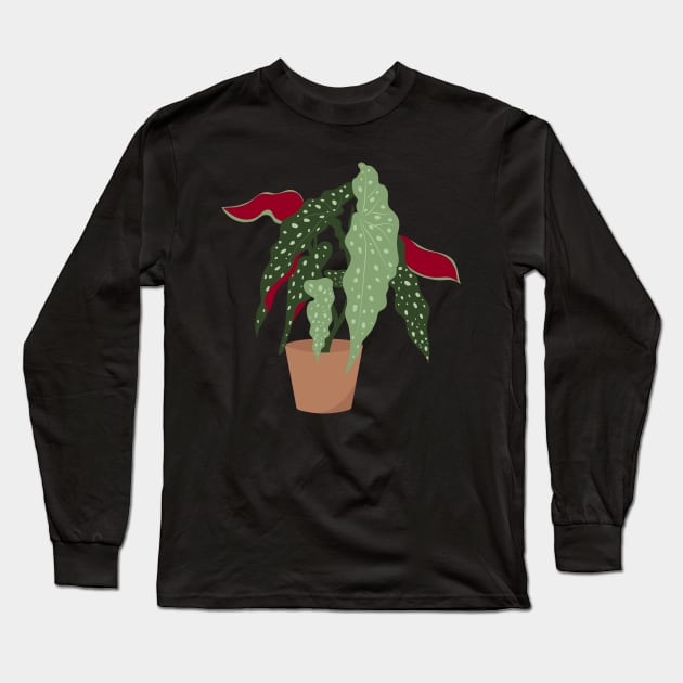 Begonia maculata plant in a pot Long Sleeve T-Shirt by gronly